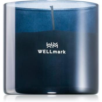 Bougie à brûler parfumée Wellmark Brave Night