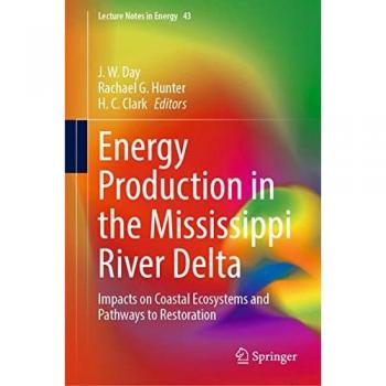 Energy Production in the Mississippi River Delta