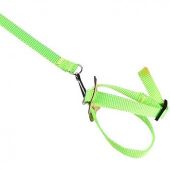 Pet Traction Strap for Birds and Small Animals