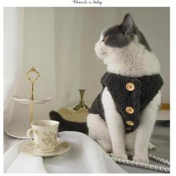 Teddy Style Thick Vest for Pets