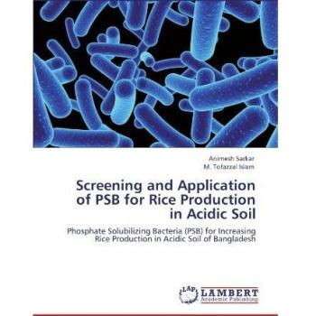 Screening and Application of PSB for Rice Production in Acidic Soil: Phosphate Solubilizing Bacteria