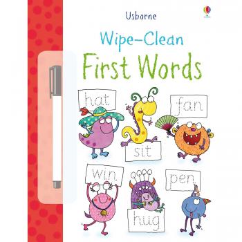 Wipe-Clean First Words by Jessica Greenwell 9781409551508 | Brand New