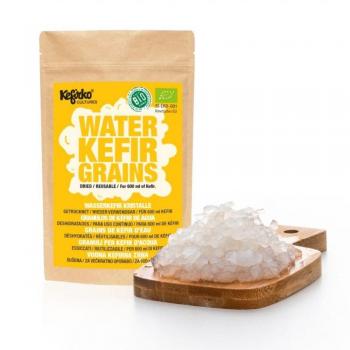 Kefir Agua Orgánico 5gr – Kefirko