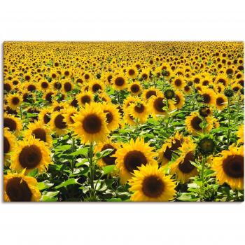 Artland Wandbild »Sonnenblumenpracht«, Blumen, (1 St.), als Alubild, Outdoorbild, Leinwandbild, Poster in verschied. Größen