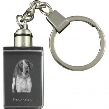 Clé Lumineuse Bracco Italiano – Art‑Dog