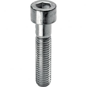 Vis à tête cylindrique E.I. 8.8 zincée UNI‑5931 6×35