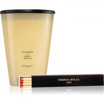 Cereria Mollá Boutique Himbeer-Vanille Kerze 3500 g
