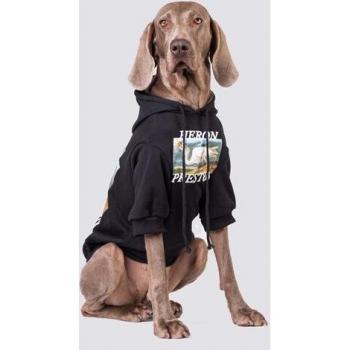 Sweat à capuche pour grand chien