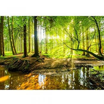 Papier Peint Runa Art Tapisserie Forêt