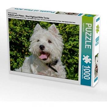 CALVENDO Foto‑Puzzle „Kobold auf Pfoten“ – West Highland White Terrier, 1000 Teile, 64 × 48 cm