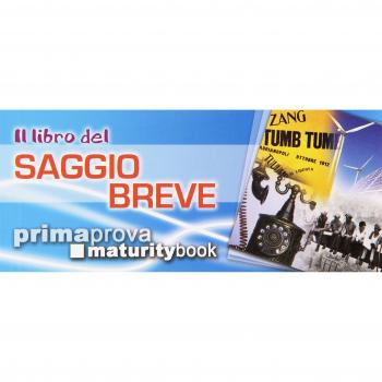 Il libro del saggio breve. Per l'esame di maturità