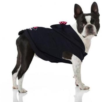 Suéter de Cão Minnie M