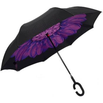 10-Farben Falt-Regenschirm mit Windschutz