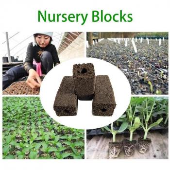 Vegetable Growing Sponge 20x20x40MM