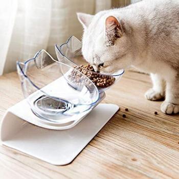 AntiSpill Cat & Small Dog Dish