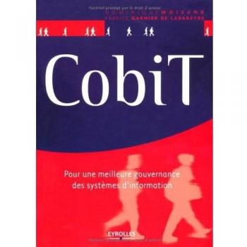 COBIT. POUR UNE MEILLEURE GOUVERNANCE DES SYSTEMES D'INFORMATION: POUR UNE MEILLEURE GOUVERNANCE DES SYSTEMES D'INFORMATION