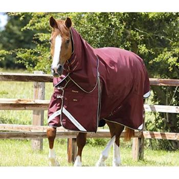 Impermeable Buster con Cubierta de Cuello