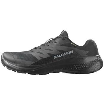 Salomon Alphaglide GORE‑TEX Running Shoes Black UK 11.5 Men's Size 46