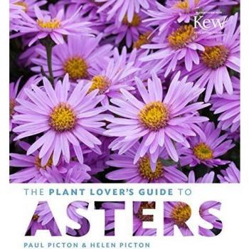 Plant Lover's Guide to Asters
