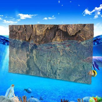 Fond 3D en roche pour terrarium de reptiles