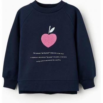 Sudadera Zippy Azul para Niña con Diseño Frontal