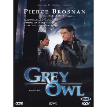 Grey Owl