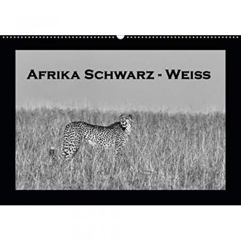 Afrika Schwarz