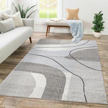 Tapis Chambre Adulte Poils Ras 160x220 cm