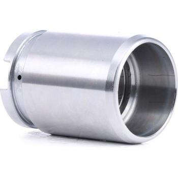 RIDEX Piston
