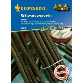Kiepenkerl Schwarzwurzelsamen Meres