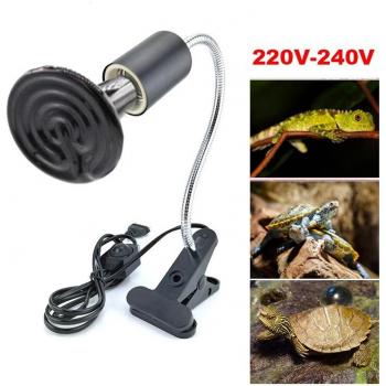 Infrared Heat Lamp for Chickens and Reptiles