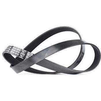 Dayco Keilrippenriemen Audi Seat Skoda VW
