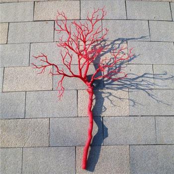 Décoration murale en corail 92 cm