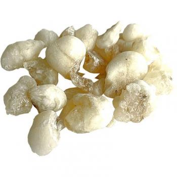 Hojari Royal White Frankincense (Oman) – Jungle Way 20 g