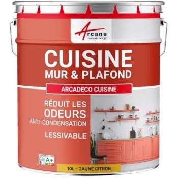 Peinture Lessivable Anti-Condensation