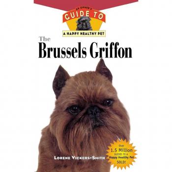 The Brussels Griffon