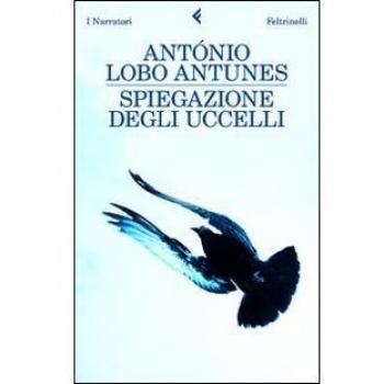 Spiegazione degli uccelli