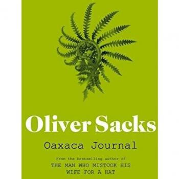 Oaxaca Journal