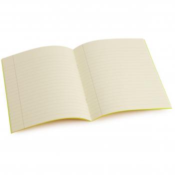 Visual Stress Relief Tinted Notebooks