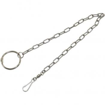 Accessoire d'entraînement pour perroquet