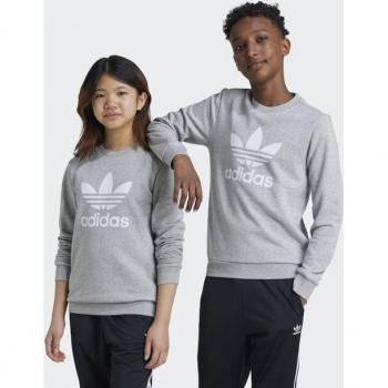 Adidas Original TREFOIL CREW Kids-Sweatshirt in Grau, 128