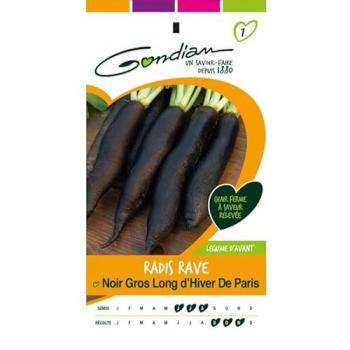 Radis d'Hiver Rave Noir de Paris