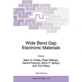 Wide Band Gap Electronic Materials (NATO Science Partnership Subseries: 3, 1, Band 1)