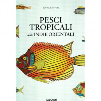 Pesci tropicali delle indie orientali