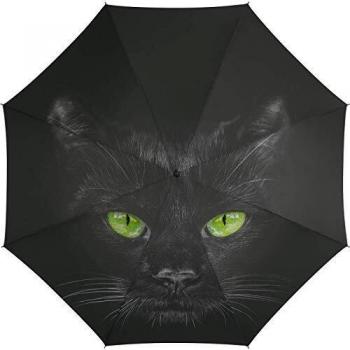 HAPPY RAIN Damen-Regenschirm mit Auf-Automatik, Blick einer schwarzen Katze