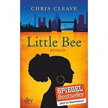 Little Bee: Roman