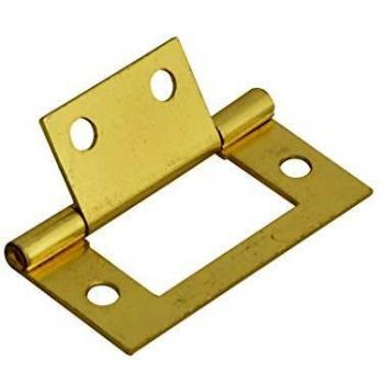 Forge Flush Hinges with Brass Finish