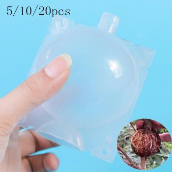 Transparent Root Cultivation Box