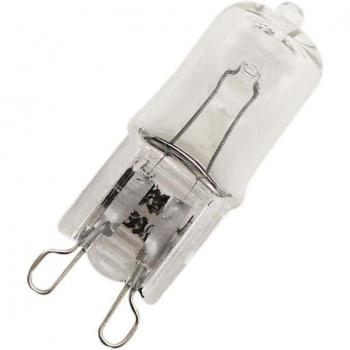 Ampoule G9 25W 40W 60W halogène 220V blanc intérieur