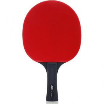 Upgraded Carbon Ping Pong Paddle 4 Star Lightweight with Good Control